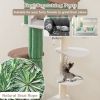 Multi-level Cat Tree with Condo andand Anti-tipping Device