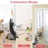 2 Cat Wand Toys with Suction Cup Double Head Interactive Cat Feather Toy 9Pcs Teaser Replacements with Bell Cats Self Playing Hanging Indoor Cat Toy