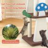 4-In-1 Cat Tree with 2 Condos and Platforms for Indoors